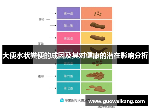 大便水状粪便的成因及其对健康的潜在影响分析