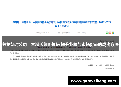 尊龙凯时公司十大增长策略揭秘 提升业绩与市场份额的成功方法