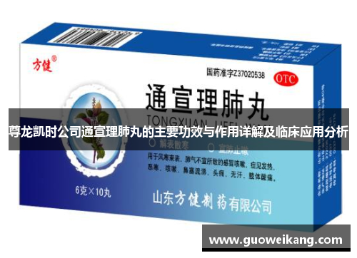 尊龙凯时公司通宣理肺丸的主要功效与作用详解及临床应用分析