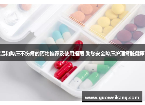 温和降压不伤肾的药物推荐及使用指南 助您安全降压护理肾脏健康