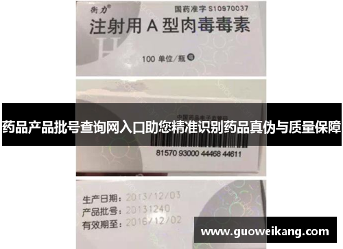 药品产品批号查询网入口助您精准识别药品真伪与质量保障