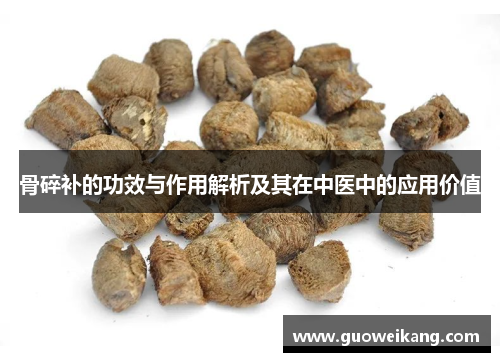 骨碎补的功效与作用解析及其在中医中的应用价值